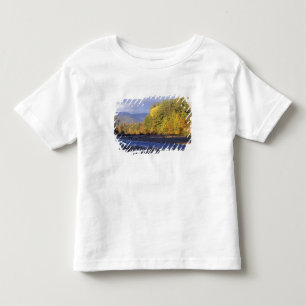 T-shirt América do Norte, EUA, NH, Rio Saco. Seixo