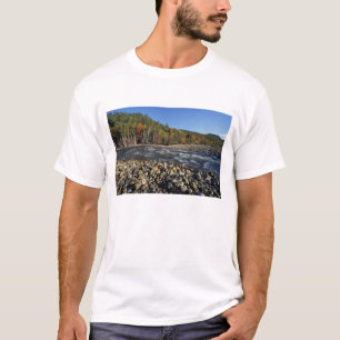 T-shirt América do Norte, EUA, NH, Uma praia de seixos na