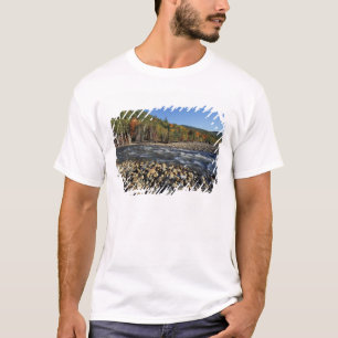 T-shirt América do Norte, EUA, NH, Uma praia de seixos na