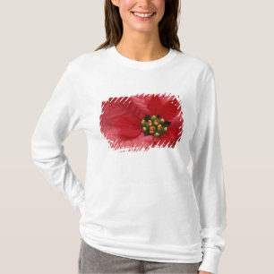 T-shirt América do Norte, EUA, WA, Woodinville, Vermelho 2
