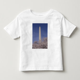 T-shirt América do Norte, EUA, Washington D.C.. Washington