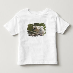 T-shirt América do Norte, Ilhas Havaianas do Noroeste, 2