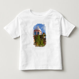 T-shirt América do Norte, México, estado de Guanajuato, Sa