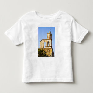 T-shirt América do Norte, México, estado de Guanajuato, Sa
