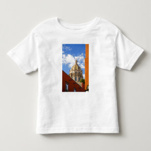 T-shirt América do Norte, México, estado de Guanajuato, Sa