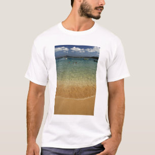 T-shirt América do Norte, México, Estado de Guerrero, Ixta