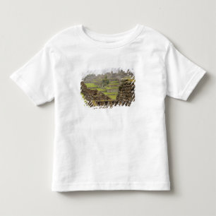 T-shirt Américas, Peru, Machu Picchu. O antigo