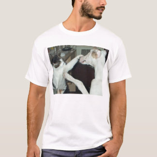 T-shirt amigos