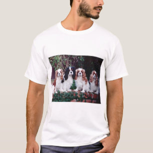T-shirt amor descuidado