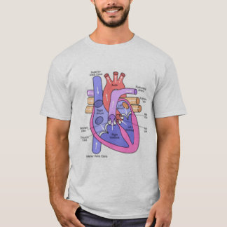 T-shirt Anatomia de um coração só