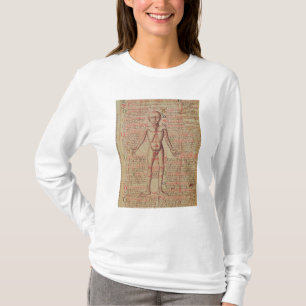 T-shirt Anatomia do corpo humano