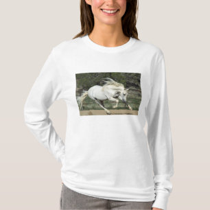 T-shirt Andaluz Stallion correndo, PR
