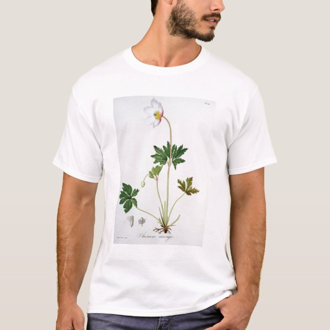 T-shirt Anêmona de madeira de "Phytographie Medicale" por (Frente)