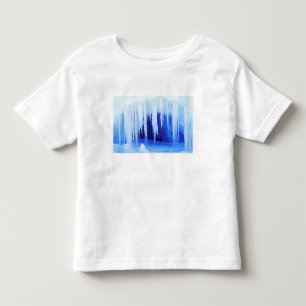 T-shirt Antártica, Território Antártico Australiano. 2