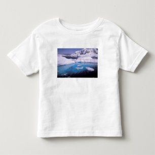 T-shirt Antártida. Expedição através de paisagens de gelo