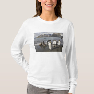 T-shirt Antártida, Ilha da Geórgia do Sul (Reino Unido), A