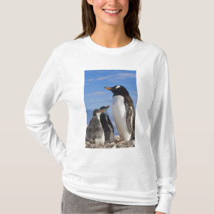 T-shirt Antártida, Neko Cove (Porto). Pinguim-de-gentes 2