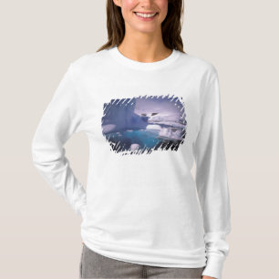 T-shirt Antártida. Paisagens de gelo antárticas 2