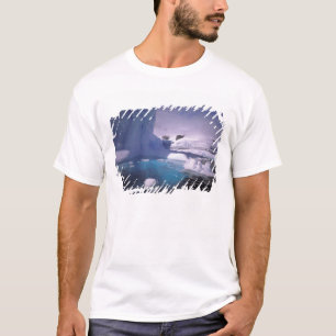 T-shirt Antártida. Paisagens de gelo antárticas 2