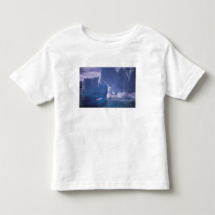 T-shirt Antártida. Paisagens de gelo antárticas 3