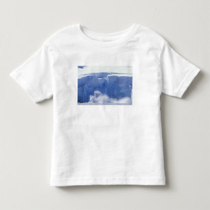 T-shirt Antártida, Paradise Bay, Formas de onda massivas