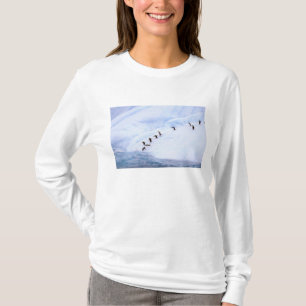 T-shirt Antártida, Península Antártica. Pinguim-de-barbich