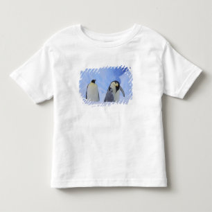 T-shirt Antártida. Pinguins-imperadores e filhote
