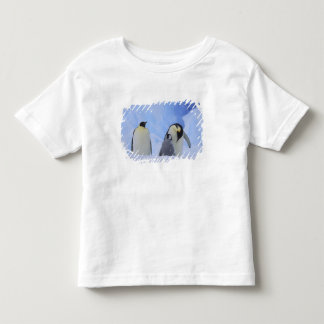 T-shirt Antártida. Pinguins-imperadores e filhote