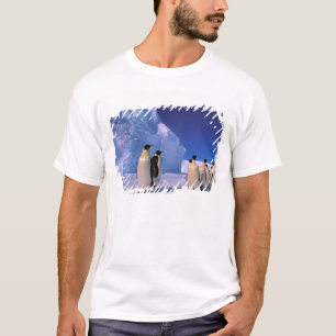 T-shirt Antártida, Território Antártico Australiano, 7