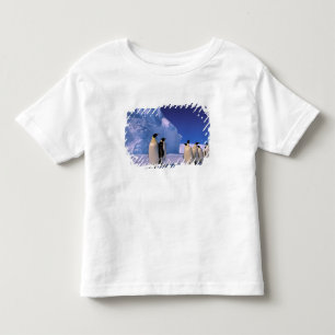 T-shirt Antártida, Território Antártico Australiano, 7