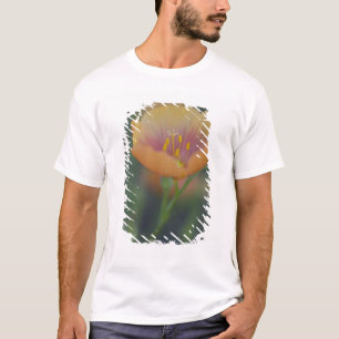 T-shirt Ao sul de Devine Texas ao longo da Interestadual 3