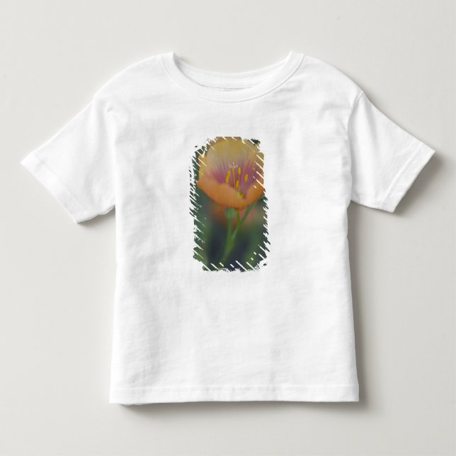 T-shirt Ao sul de Devine Texas ao longo da Interestadual 3 (Frente)