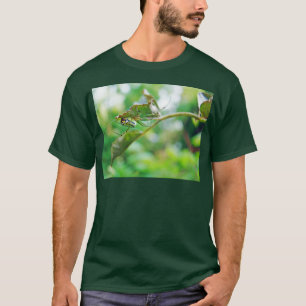 T-shirt Aranha-tecedora-de-jardim - Leucauge venusta