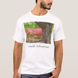 T-shirt Arboreto de Arnold no primavera