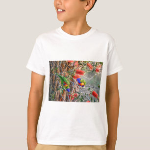 T-SHIRT ARCO-ÍRIS LORIKEET QUEENSLAND RURAL AUSTRÁLIA