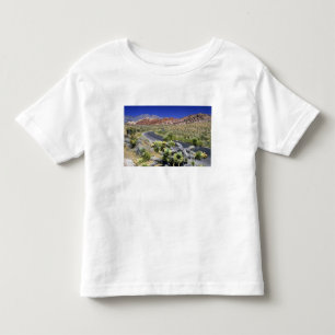 T-shirt Área Nacional de Conservação do Canyon Red Rock, L