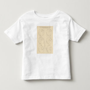 T-shirt Áreas de 127 proporções nas fazendas