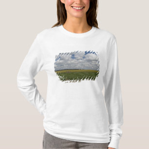 T-shirt Argentina, Buenos Aires, San Antonio de Areco.