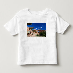 T-shirt Arizona, Window Rock. Capital dos Navajos