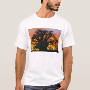 T-shirt Árvore baobá africana, Adansonia digitata,