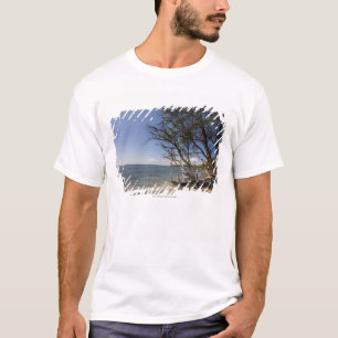 T-shirt Árvore em uma praia ao longo do litoral