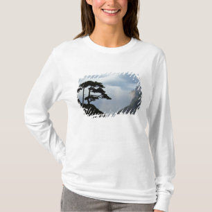 T-shirt Árvore silhuetada ao nascer do sol, Montanha Amare
