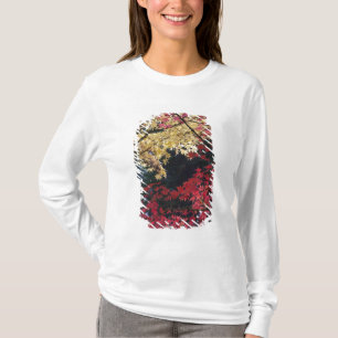 T-shirt Árvores de bordo em cores de outono