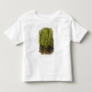 T-shirt Árvores de cedro de Koya Sugi