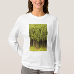 T-shirt Árvores de cedro de Koya Sugi