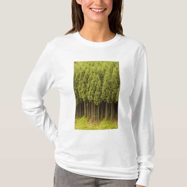 T-shirt Árvores de cedro de Koya Sugi (Frente)