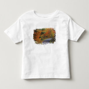 T-shirt Árvores de outono alinham a estrada no Parque Esta
