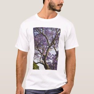 T-shirt Árvores Jacarandá Floridas no Parque New Farm,