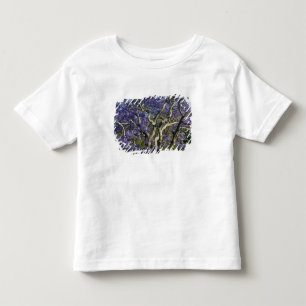 T-shirt Árvores Jacarandá Floridas no Parque New Farm, 2