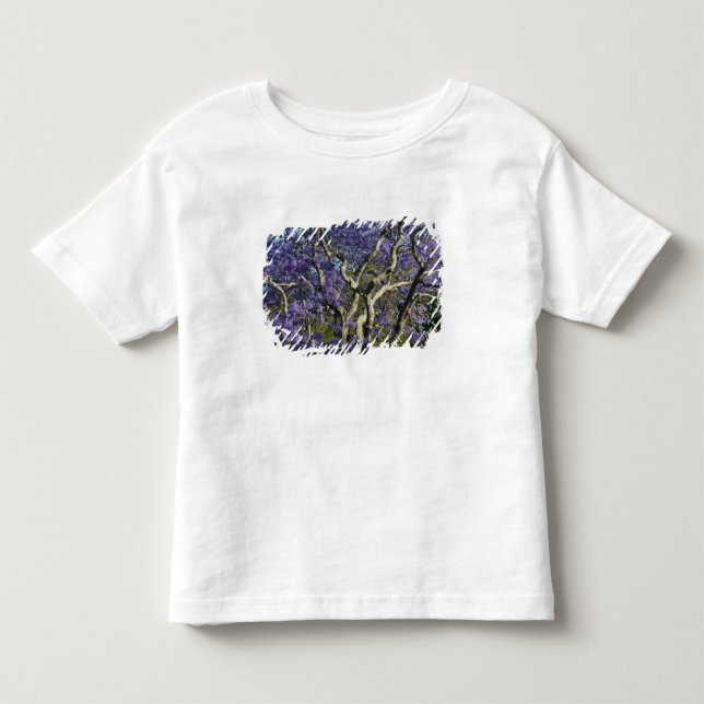 T-shirt Árvores Jacarandá Floridas no Parque New Farm, 2 (Frente)